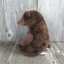 Load image into Gallery viewer, Brown Bear Plush Perfect Day Grizzly  Kohls Cares Stuffed Animal Lane Smith