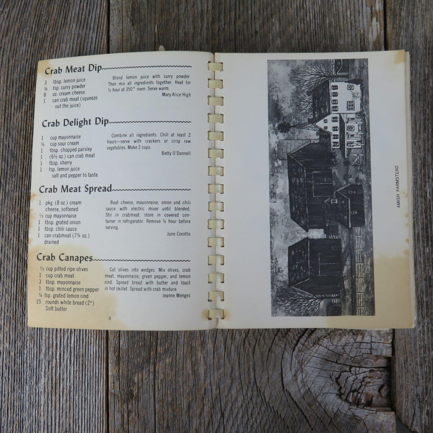 Album of Lancaster County Pennsylvania Cookbook Vintage Dutch Amish Mary Ferree Society 1971