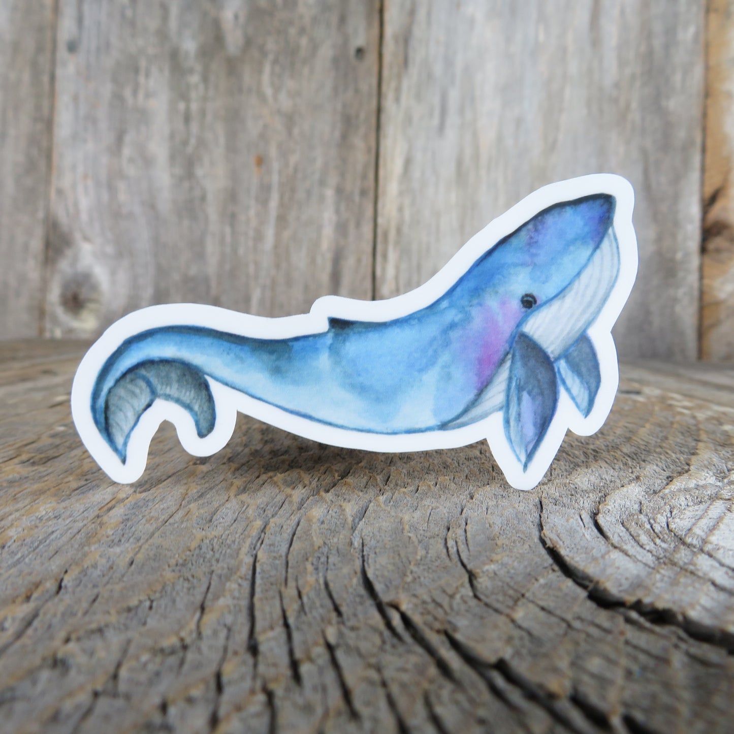 Blue Whale Sticker Decal Full Color Waterproof Ocean Sea Life for Car Water Bottle Laptop Memento
