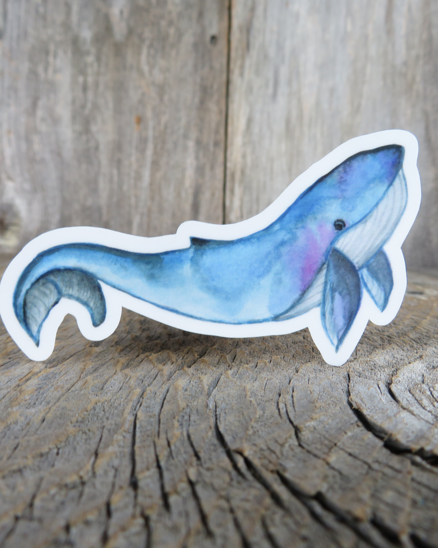 Blue Whale Sticker Decal Full Color Waterproof Ocean Sea Life for Car Water Bottle Laptop Memento