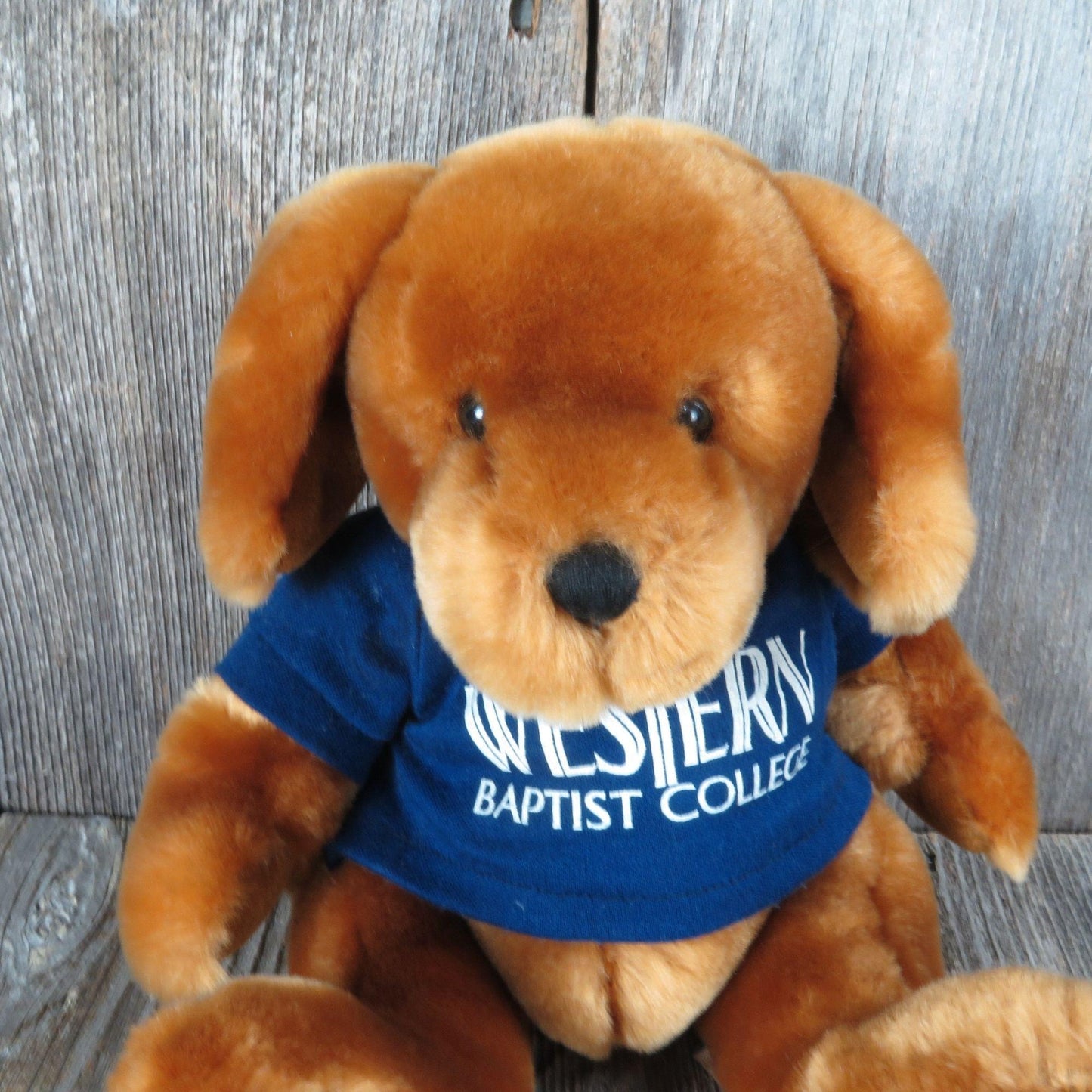 Vintage Brown Dog Plush Velvets by Greek Western Baptist College Puppy Plush Bean Filled