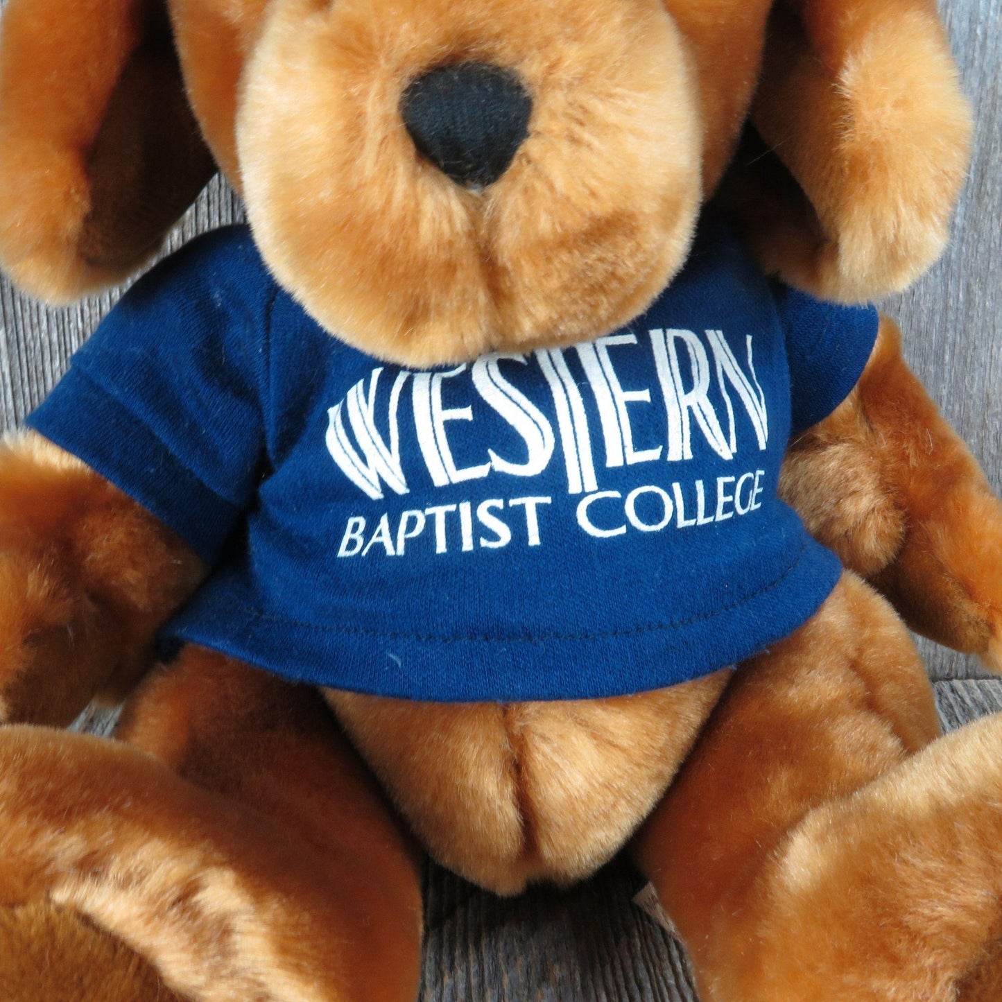 Vintage Brown Dog Plush Velvets by Greek Western Baptist College Puppy Plush Bean Filled