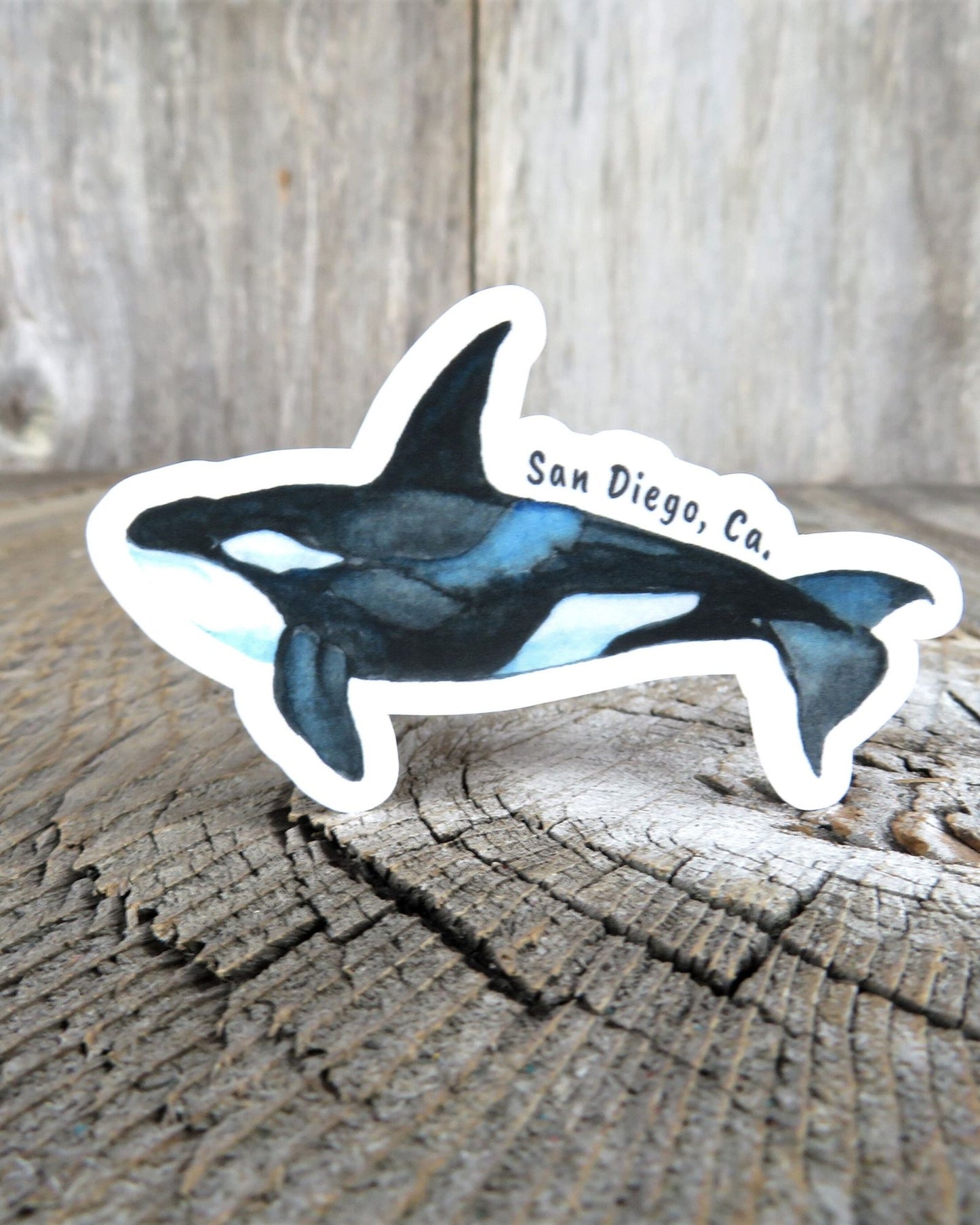 Orca Whale San Diego Sticker California Whale Watching Souvenir Waterproof Travel Water Bottle Laptop