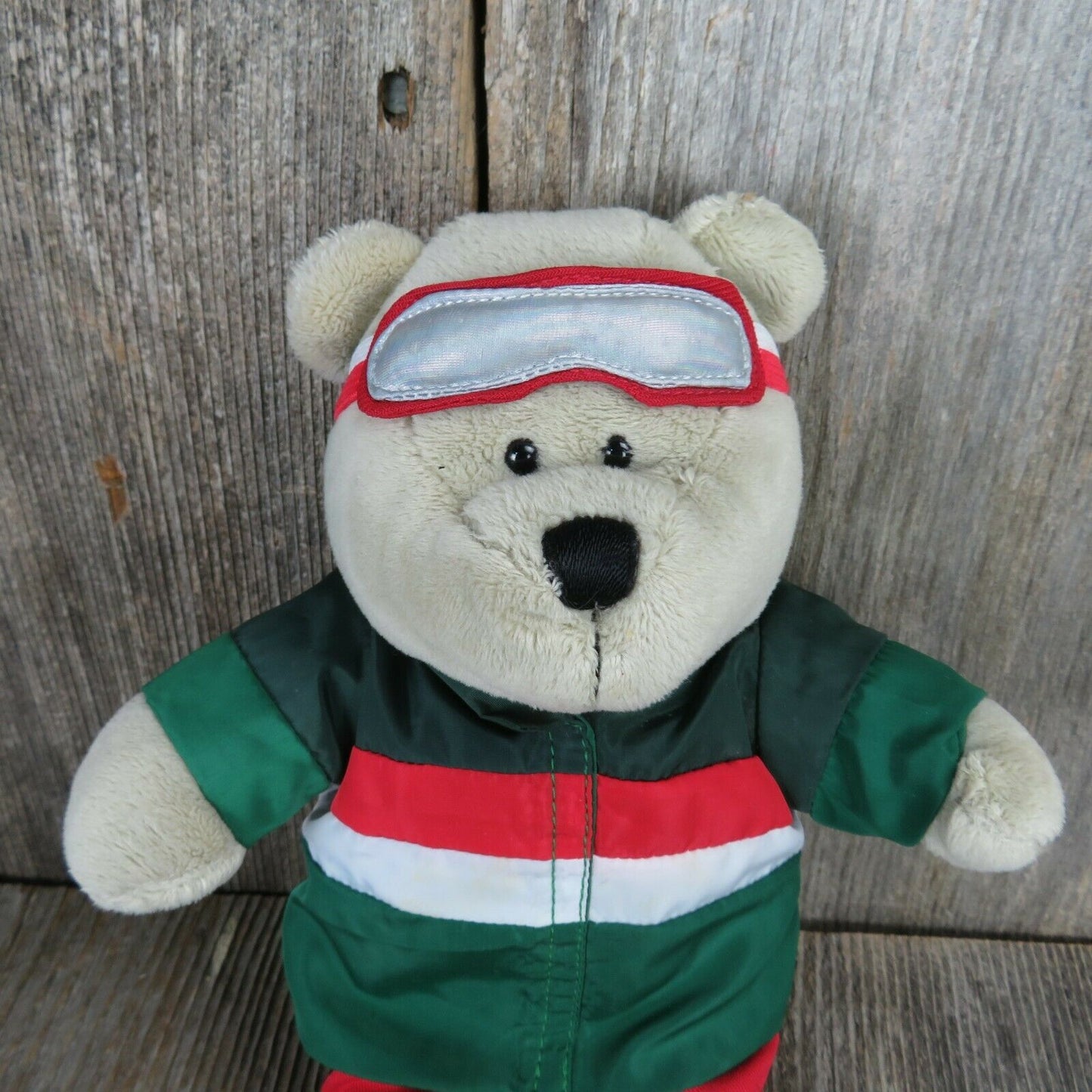 Starbucks Bearista 2019 10” Plush Bear Teddy Skier Outfit #162 Ltd Ed Coll