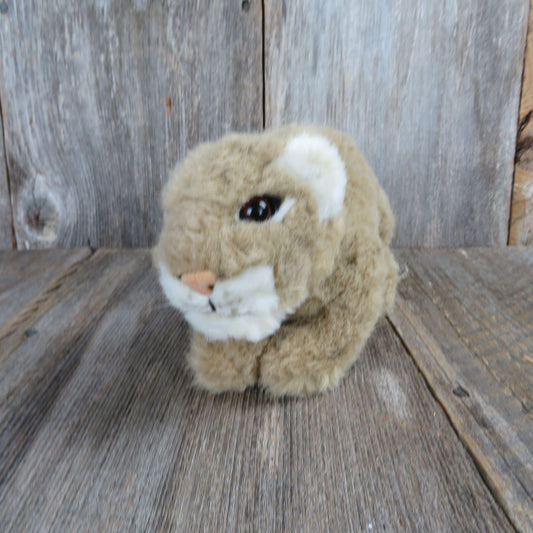 Vintage Lion Cub Cat Plush Applause Flocked Nose World Wildlife Fund Kitten Kitty Stuffed Animal  1988