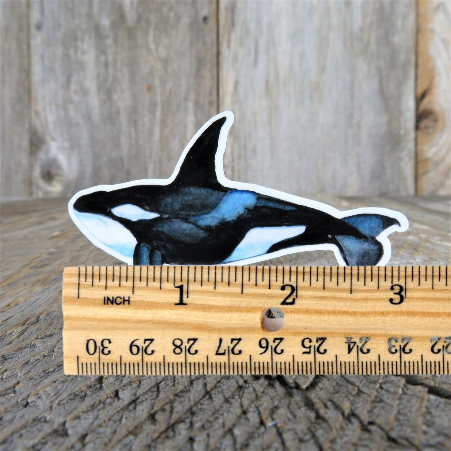 Orca Killer Whale Sticker Decal Full Color Waterproof Ocean Sea Life for Car Water Bottle Laptop Memento
