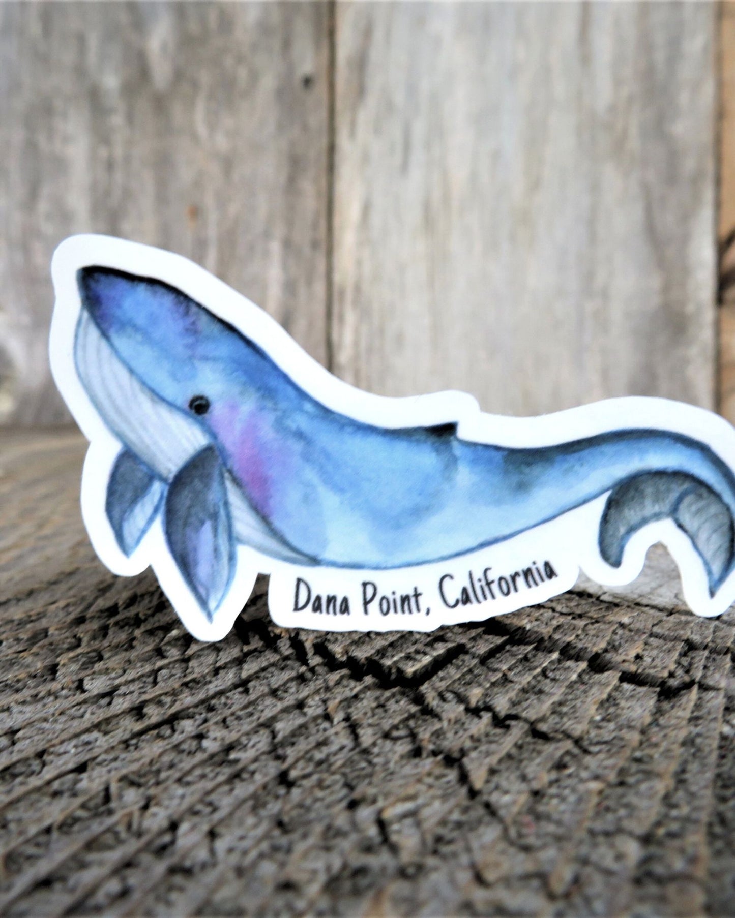 Dana Point Blue Whale Sticker California Full Color Waterproof Souvenir Car Water Bottle Laptop Memento