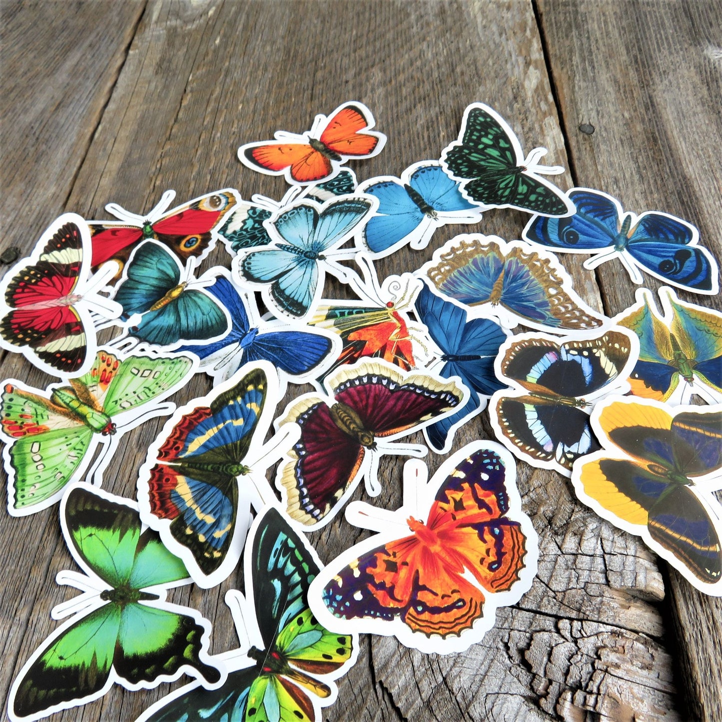 Butterfly and Moth Sticker Lot Large Vintage Style Set of 22 Multicolored Junk Journal Scrapbook Multimedia Mixed Art
