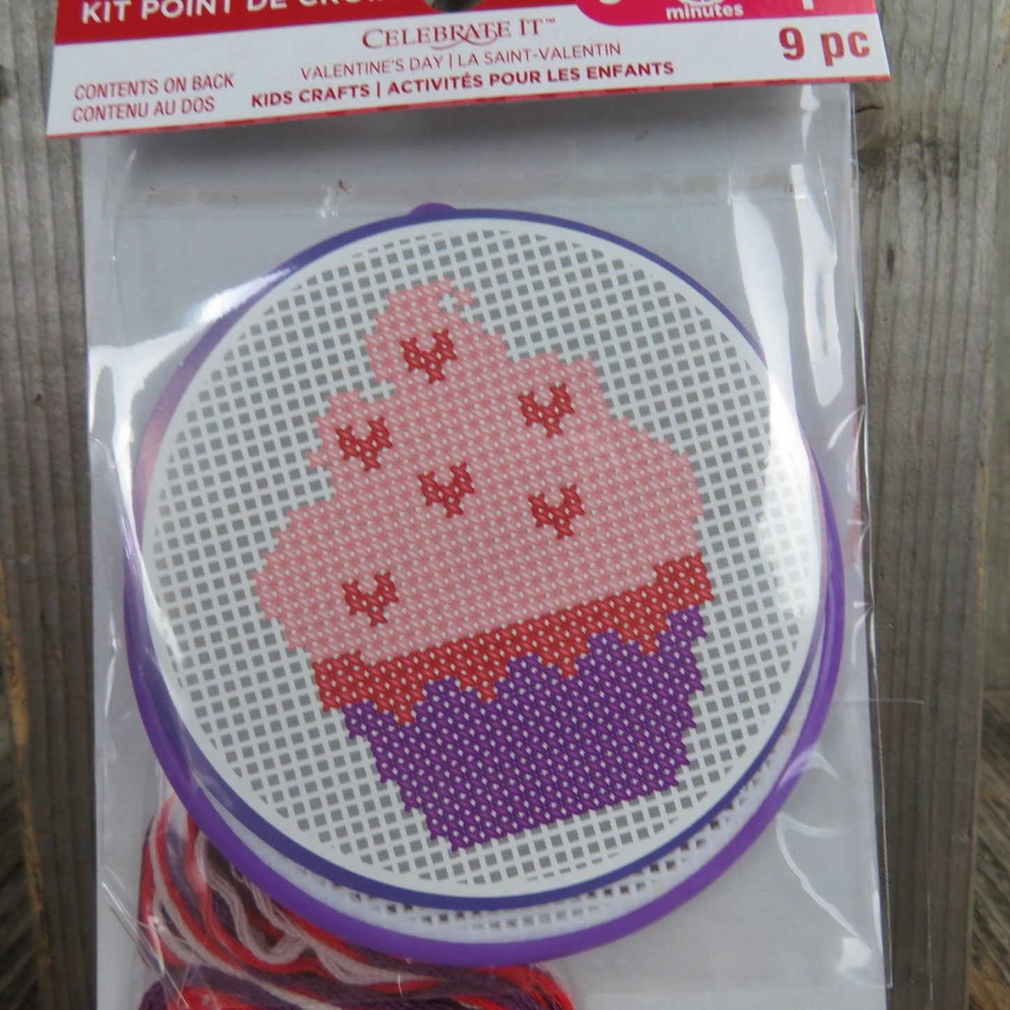 Cross Stitch Pink Cupcake Kit Valentine's Day Kids Craft Plastic Canvas Group Activity