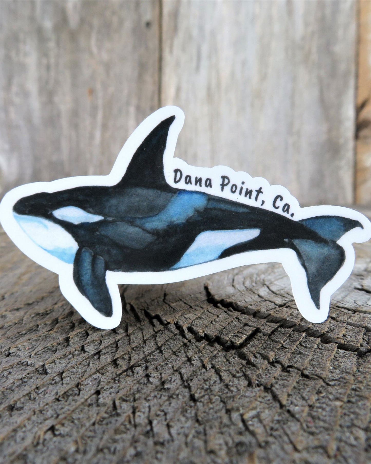 Orca Whale Dana Point Sticker California Whale Watching Souvenir Waterproof Travel Water Bottle Laptop