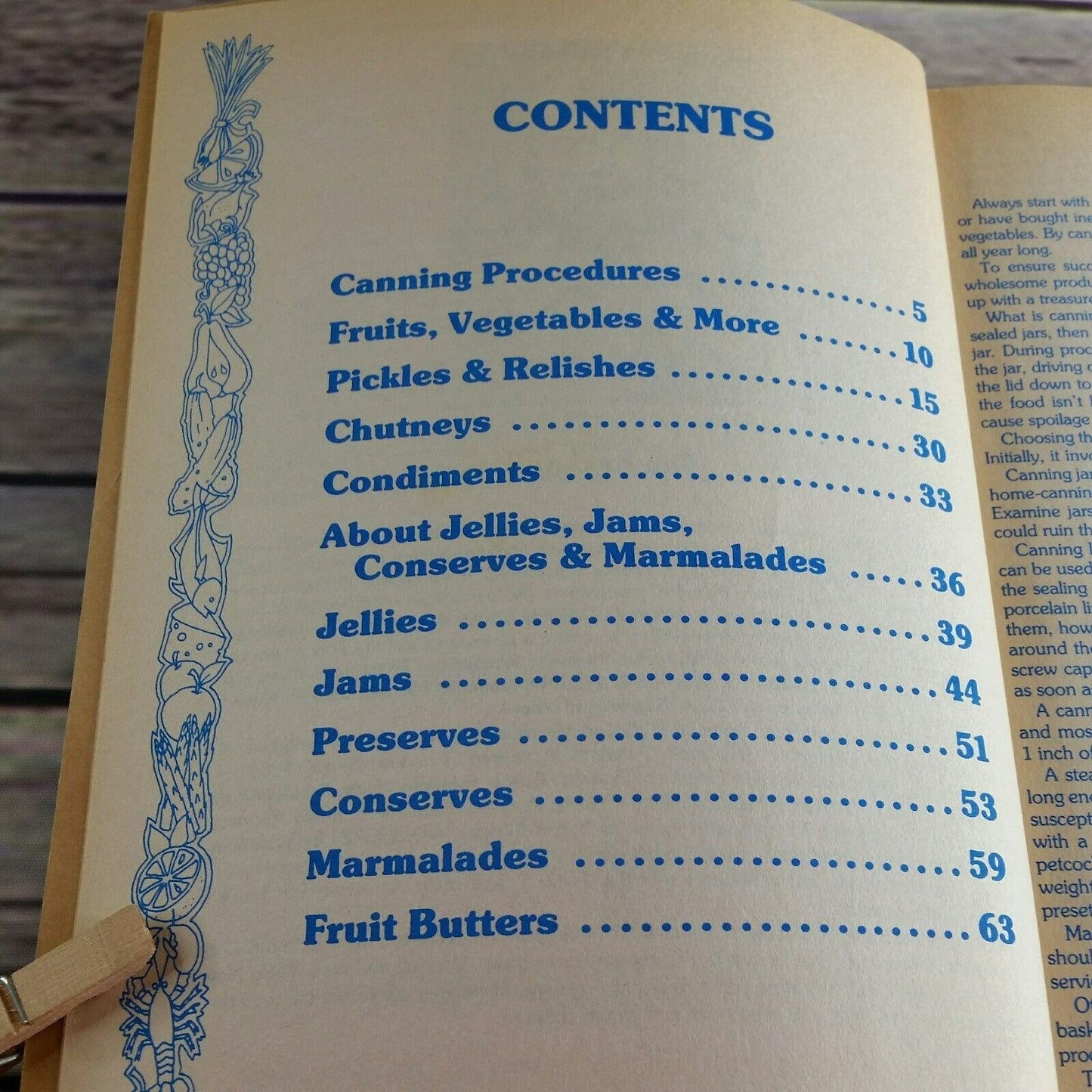 Vintage Cookbook Canning Pickling Preserving 1989 Recipes Paperback Johnna Blinn Food Columnist