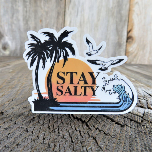 Stay Salty Sticker Summer Ocean Retro Colored Decal Palm Tree Waterproof Souvenir Car Water Bottle Laptop