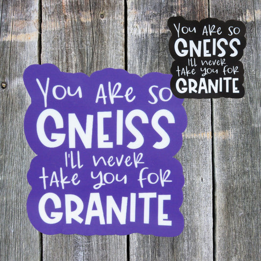 You Are So Gneiss I'll Never Take You For Granite Sticker Water Proof Rock Lover Geologist Humor Funny Dad Joke