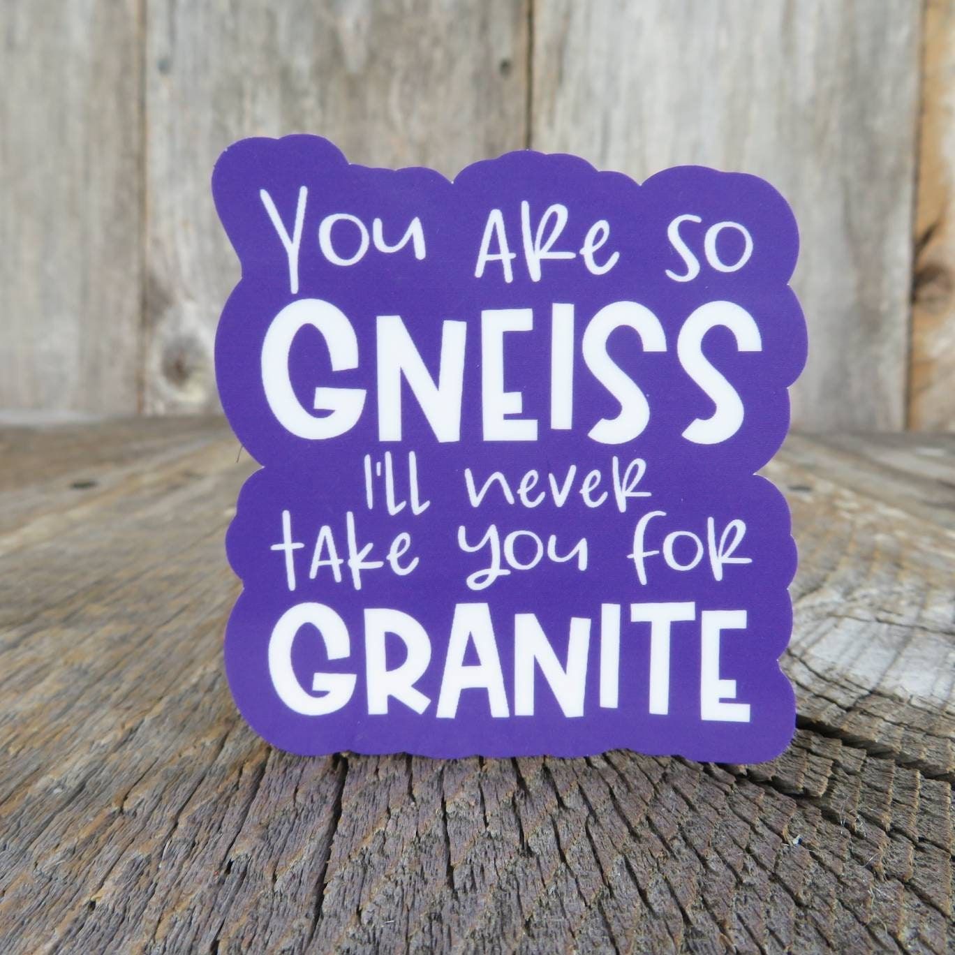 You Are So Gneiss I'll Never Take You For Granite Sticker Water Proof Rock Lover Geologist Humor Funny Dad Joke