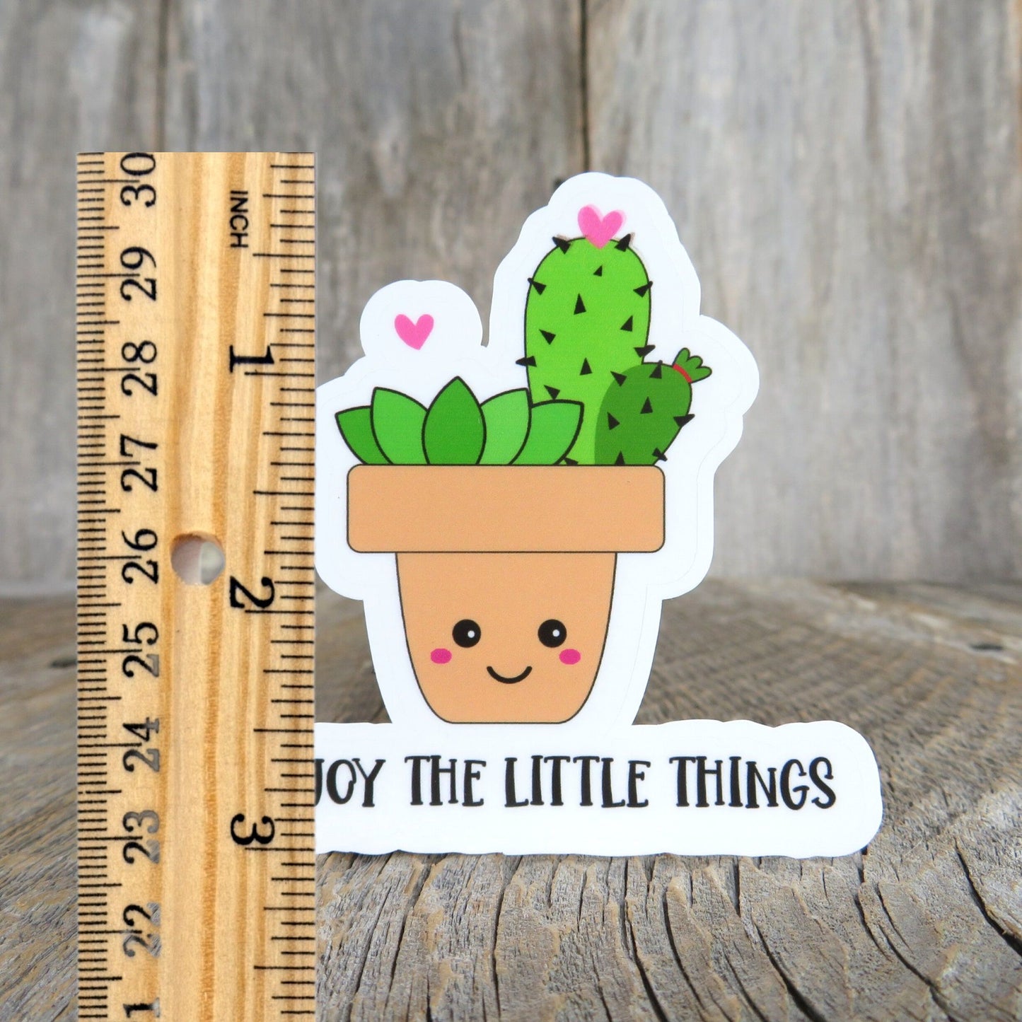 Enjoy the Little Things Sticker Full Color Kawaii Cactus In Pot Waterproof Positive Saying Plant lovers Water Bottle