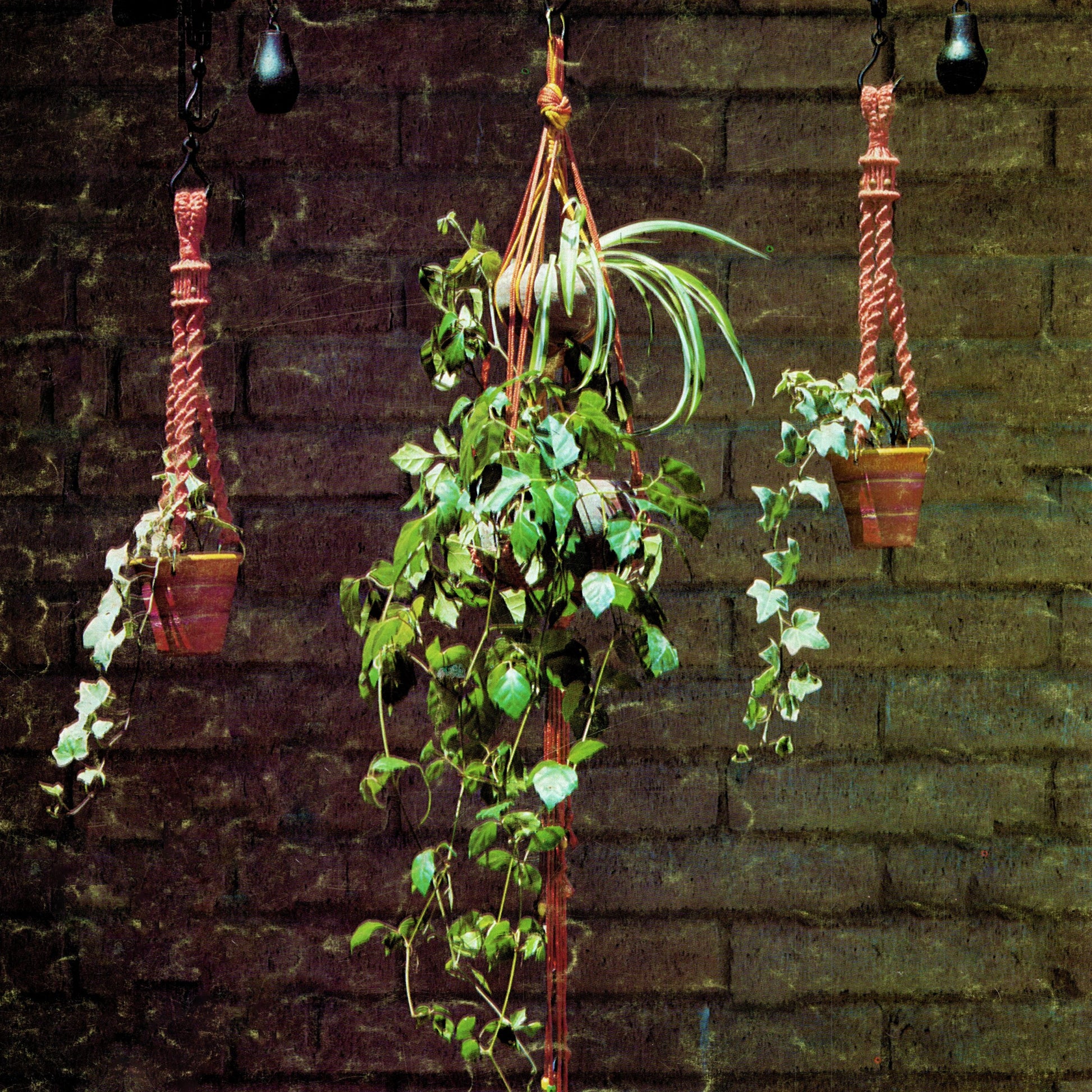 macrame plant hanger pdf Vintage Macrame Hangers Pattern Book Plant Holders Hangings Knots Knot – At Grandma's Table