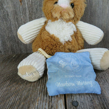 Load image into Gallery viewer, Scratch Cat Plush Scentsy Buddy Kitten Kitty Stuffed Animal Brown Cream Newborn