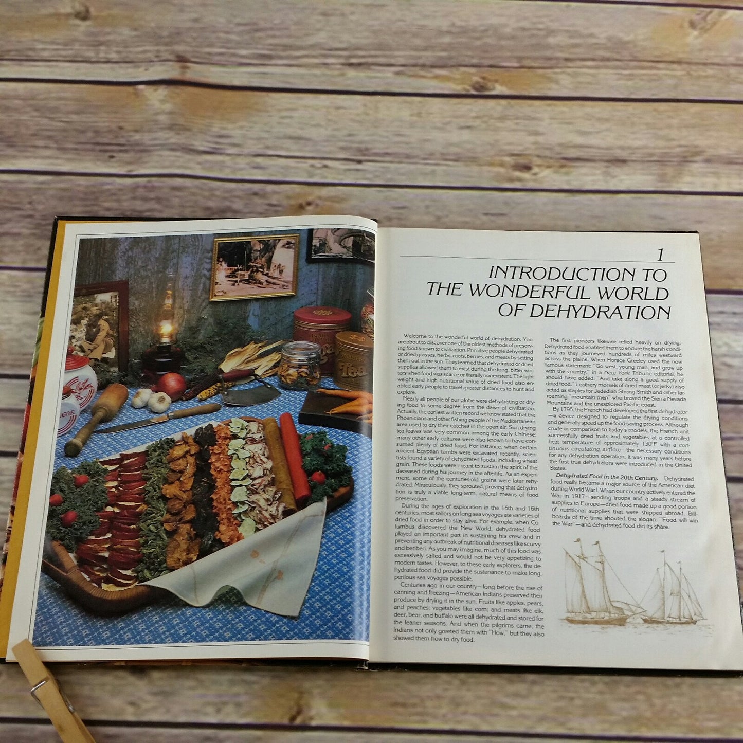 Vintage Cookbook Preserve it Naturally Excalibur Products Recipes Instruction 1983 Guide to Food Dehydration Hardcover Dehydrator